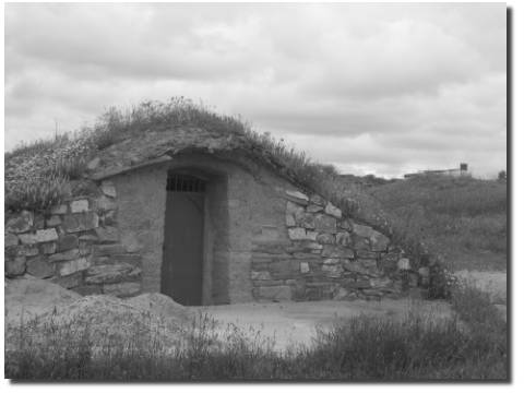 bodega tipica